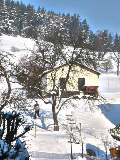 Hotel-Gasthaus Steiger Gräfenthal Esterno foto